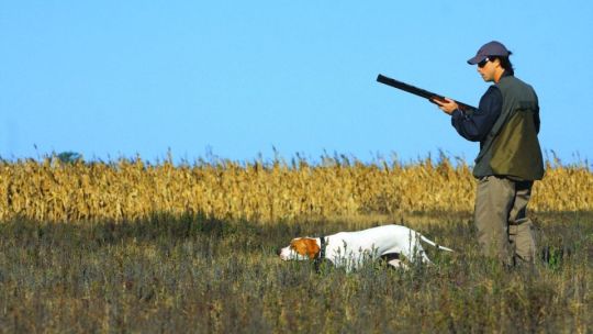 La temporada de caza menor viene sin plumas - Buenos Aires