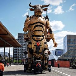 Asterión, un minotauro de 47 toneladas y 13 metros de altura fabricado por la compañía de teatro de calle "La Machine", se desplaza por el barrio de Montaudran, en Toulouse (suroeste de Francia), guiado por un equipo de maquinistas. | Foto:VALENTINE CHAPUIS / AFP