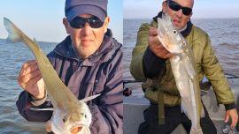 Estamos en presencia de una temporada de pesca excepcional con la ventaja de poder dar con estos trofeos a tan solo 70 kilómetros de Capital Federal.