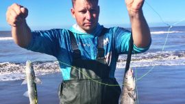 San Blas nos brinda la posibilidad de intentar con diferentes modalidades de pesca, alternativas que pueden ser costeras o embarcados.