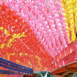 Un trabajador coloca tarjetas con los deseos de los seguidores budistas en las linternas de loto del templo de Jogyesa, en Seúl, antes de las celebraciones del cumpleaños de Buda. | Foto:JUNG YEON-JE / AFP