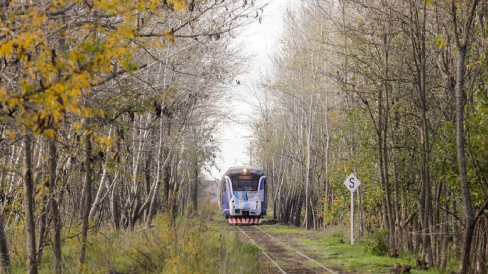 El primer tren turístico de la provincia de Buenos Aires ya es una ...