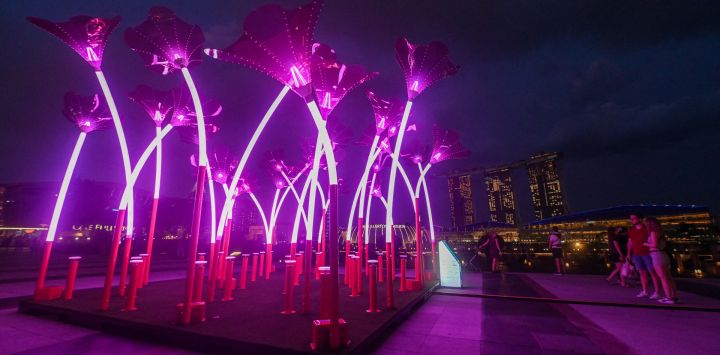 Visitantes observan la instalación lumínica "Trumpet Flowers" de Amigo & Amigo, de Australia, durante un avance para los medios del festival de arte iLight Singapore, en Marina Bay, Singapur.