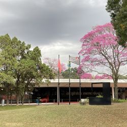 San Pablo es la ciudad más pet friendly de Brasil, tanto en los shoppings, donde tienen espacios de entretenimiento especiales como en el parque Ibirapuera. 