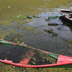 Un pescador en un bote en el lago de Yojoa, situado a 140 km al norte de Tegucigalpa. Honduras lanzó un plan para salvar el lago de Yojoa, su mayor reserva natural de agua dulce, en peligro por la industria acuícola, las actividades agrícolas, la deforestación y otros daños ambientales. | Foto:ORLANDO SIERRA / AFP