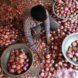 Un trabajador clasifica cebollas en un mercado de verduras de Nueva Delhi, India. | Foto:ARUN SANKAR / AFP