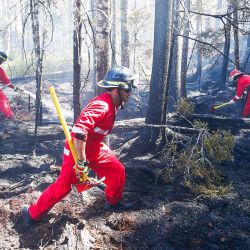 En esta imagen cortesía del Gobierno de Nueva Escocia en Canadá, bomberos de Halifax Regional Fire and Emergency trabajan para apagar el fuego en la zona de Tantallon, en Nueva Escocia. | Foto:Handout / Gobierno de Nueva Escocia / AFP