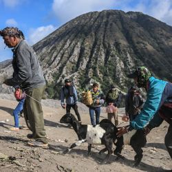 Miembros del grupo subétnico Tengger se reúnen para presentar ofrendas en el borde del cráter del volcán activo Monte Bromo como parte del festival Yadnya Kasada en Probolinggo, provincia de Java Oriental, Indonesia. | Foto:JUNI KRISWANTO / AFP