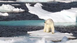 Cambio climático