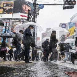 Varias personas utilizan sus paraguas para resguardarse de la lluvia mientras caminan por el distrito de Shibuya, en Tokio, Japón. | Foto:Yuichi YAMAZAKI / APF