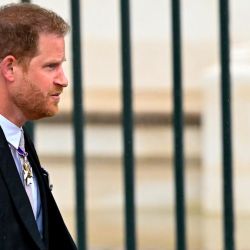 Principe Harry | Foto:CEDOC