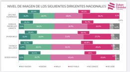 Encuesta de Zuban Córdoba y Asociados