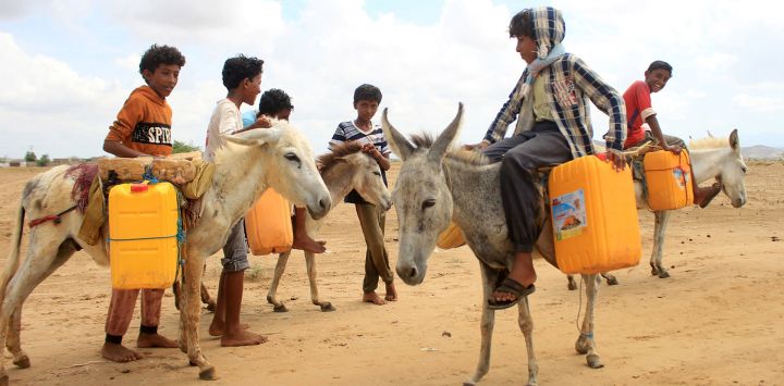 Niños yemeníes montan en burros para transportar contenedores de agua en un campamento para desplazados en el distrito de Abs, en la provincia noroccidental de Hajjah.