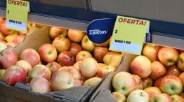 La Secretaría de Comercio actualizó los precios de la canasta de frutas y verduras. 
