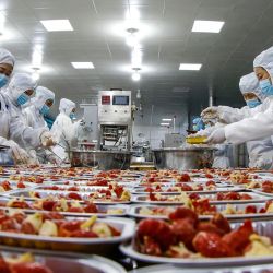 Trabajadores procesan cangrejos de río que serán exportados en una fábrica de alimentos en Sihong, en la provincia oriental china de Jiangsu. | Foto:AFP