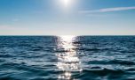 Día Mundial de los Océanos: ¿por qué corren gran riesgo de desaparecer al igual que sus peces y cetáceos?