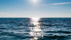 Los océanos y su fauna están en peligro de extinción.