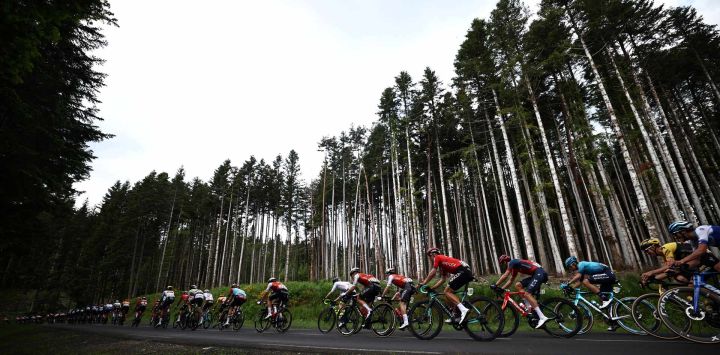 El pelotón marcha durante la segunda etapa de la 75ª edición de la carrera ciclista Criterium du Dauphine, 167,3 kms entre Brassac-les-Mines y La Chaise-Dieu, centro de Francia.