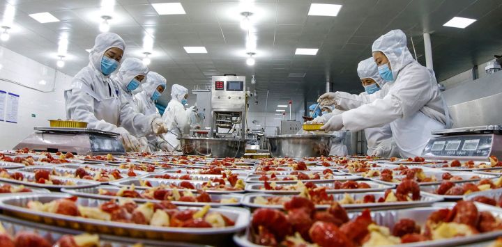 Trabajadores procesan cangrejos de río que serán exportados en una fábrica de alimentos en Sihong, en la provincia oriental china de Jiangsu.