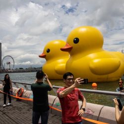 La gente toma fotos de dos grandes patos amarillos inflables llamados "Double Duck" del artista holandés Florentijn Hofman en Victoria Harbour en Hong Kong, China. | Foto:ISAAC LAWRENCE / AFP