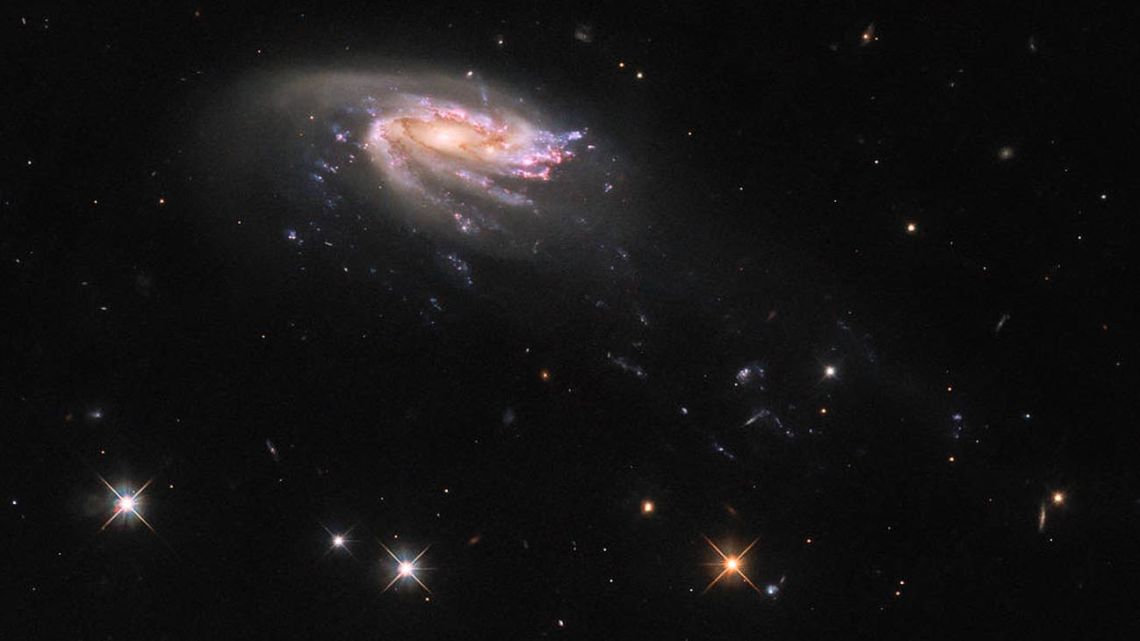 Telescopio “Hubble” de la NASA captó una galaxia “medusa” a 700 ...