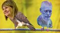 Patricia and Horacio birds.