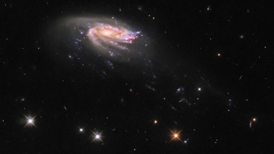 Telescopio “Hubble” de la NASA captó una galaxia “medusa” a 700 millones de años luz de la Tierra