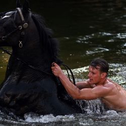 Un caballo es bañado en el río Eden durante el segundo día de la feria anual del caballo de Appleby, en la localidad de Appleby-in-Westmorland, al noroeste de Inglaterra. El evento anual atrae a miles de viajeros de toda Gran Bretaña para reunirse y comprar y vender caballos. | Foto:OLI SCARFF / AFP