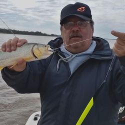 Dos mojarras por anzuelo hicieron la diferencia en esta jornada de pesca en un punto clásico del Guazú