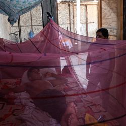 Gabriel Mechato que padece dengue, descansa bajo un mosquitero junto a su madre en su casa del distrito de Catacaos, departamento de Piura, Perú. | Foto:ERNESTO BENAVIDES / AFP
