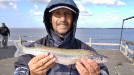 Aparecieron buenos portes de pejerreyes en el inicio de la semana de pesca en los muelles platenses