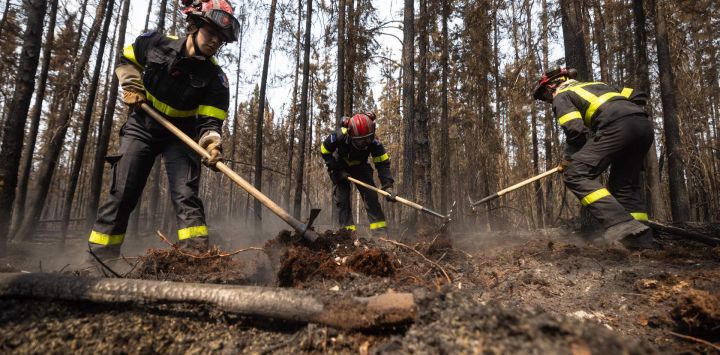 Bomberos franceses luchan contra los incendios al norte de la ciudad de Chibugamau, Quebec, en Canadá. Quebec ha desplegado cientos de bomberos, con ayuda de Francia y Estados Unidos, mientras Canadá se ve duramente afectada por los incendios forestales sin precedentes que han asolado el país.