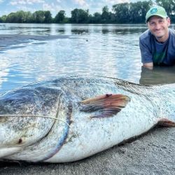 Ahora la IGFA debe dictaminar si este ejemplar supera la marca mundial.