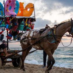 Un vendedor de juguetes en un carro de caballos busca clientes en una playa de la ciudad de Gaza. | Foto:Jewel Samad / AFP