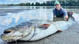 Ahora la IGFA debe dictaminar si este ejemplar supera la marca mundial.