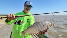 Además de ocupar un lugar preponderante en la cadena alimentaria de los peces, últimamente se lo disfruta mucho deportivamente. (Foto: Wilmar Merino).