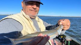 Pescar de flote rindió hasta que apareció el frío, ahora la clave es intentar con líneas paternóster.