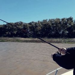 Tras varias semanas de actividad muy discreta, empezó a mejorar la pesca de pejerrey en el Guazú. 