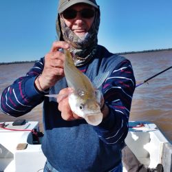 Tras varias semanas de actividad muy discreta, empezó a mejorar la pesca de pejerrey en el Guazú. 