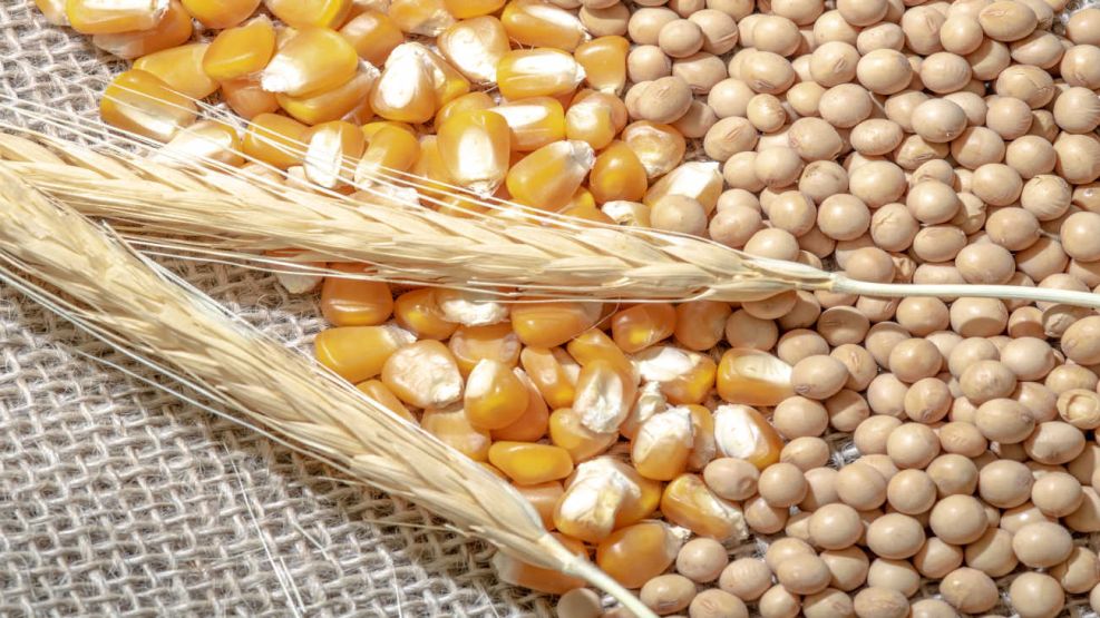Cosecha de soja, maíz y trigo 20230616