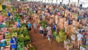 20230618_mercado_central_frutas_verduras_shutterstock_g