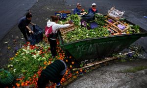 market, bins, rummaging, poverty, economy, argentina, stock