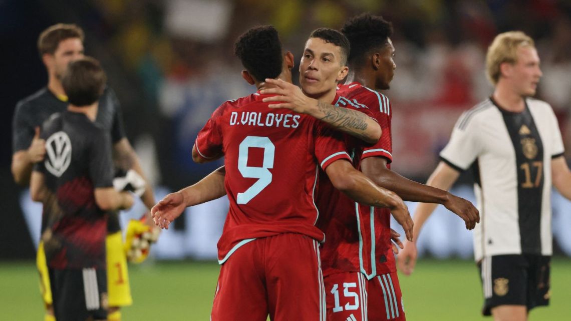 How did the South American teams fare in friendlies?