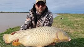 La carpa es una especie que con el frío no tiene la vitalidad que los meses más cálidos.