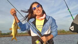 Con estos primeros fríos, los doradillos salieron de zona de islas y están en el cauce del Paraná