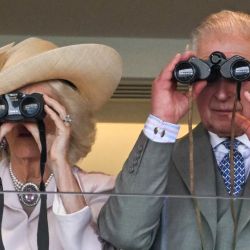 La reina de Gran Bretaña Camilla y el rey Carlos III de Gran Bretaña miran las carreras con sus prismáticos en el segundo día de la reunión de carreras de caballos Royal Ascot, en Ascot, al oeste de Londres. | Foto:JUSTIN TALLIS / AFP