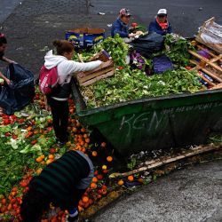 Limpia Benitez, ama de casa de 59 años; Gladys Meza, desempleada de 41 años; y otras personas buscan alimentos en buen estado dentro de la basura en Buenos Aires. Con manos y ojos entrenados, Limpia Benitez y Gladys Meza sacan kilos y kilos de fruta y verdura de los grandes contenedores del Mercado Central. | Foto:LUIS ROBAYO / AFP