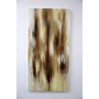 Patricia Restuccia, Artista Visual