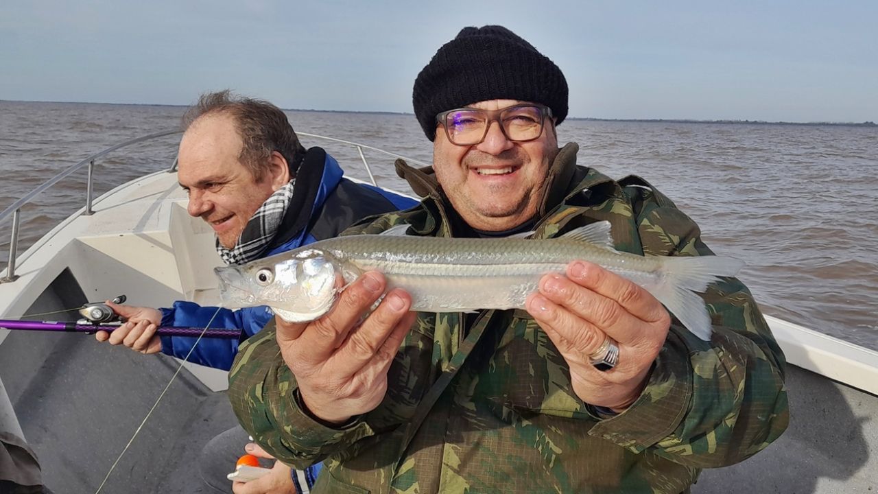 Winter has arrived: what about the pique?