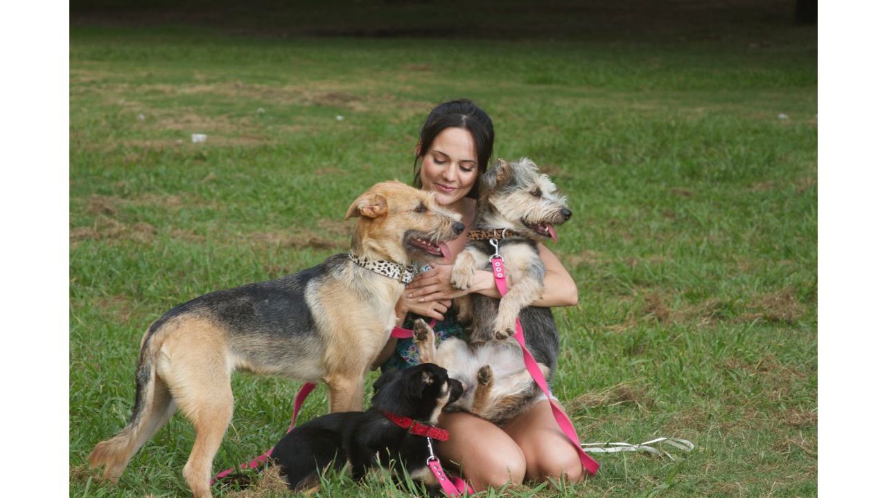 “Mika, Rescatista de Animales”, comprometida con el resguardo y bienestar de animales en peligro | Foto:CEDOC